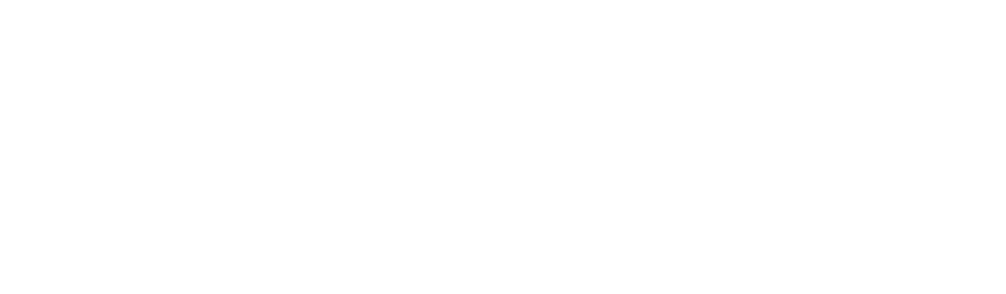 Empowered AI Solutions LLC
